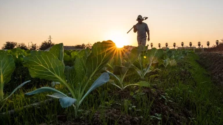 organic-and-sustainable-farming