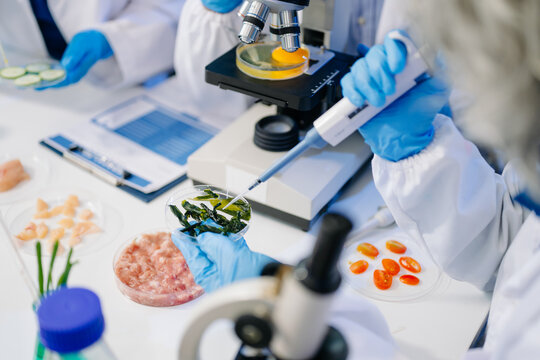 food saftey and testing