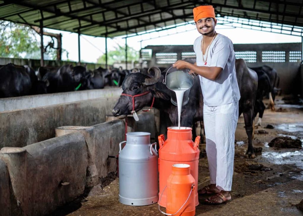 DAIRY DEVELOPMENT