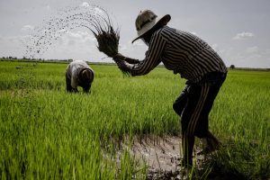 farmers-empowerment