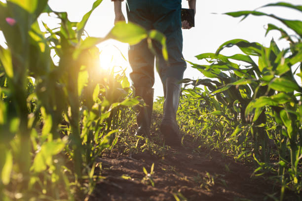 organic-and-sustainable-farming