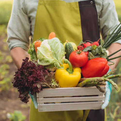 Bulk Food Kitchens
